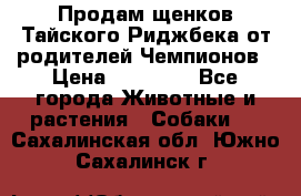 Продам щенков Тайского Риджбека от родителей Чемпионов › Цена ­ 30 000 - Все города Животные и растения » Собаки   . Сахалинская обл.,Южно-Сахалинск г.